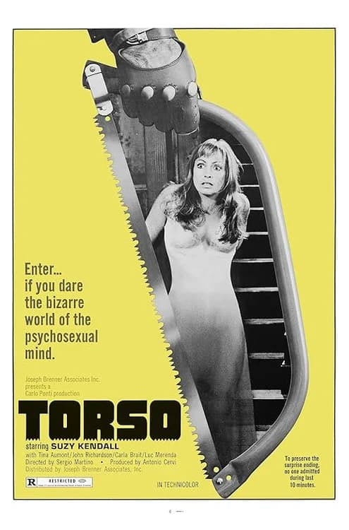Torso film posteri